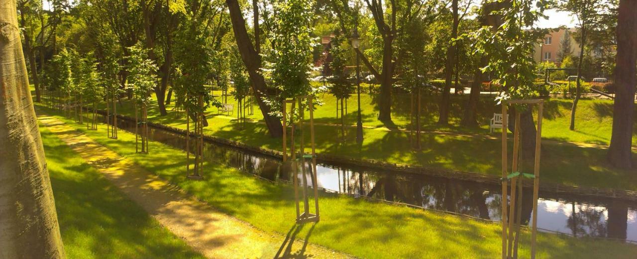 Gdynia Orlowo Honey Apartment Экстерьер фото