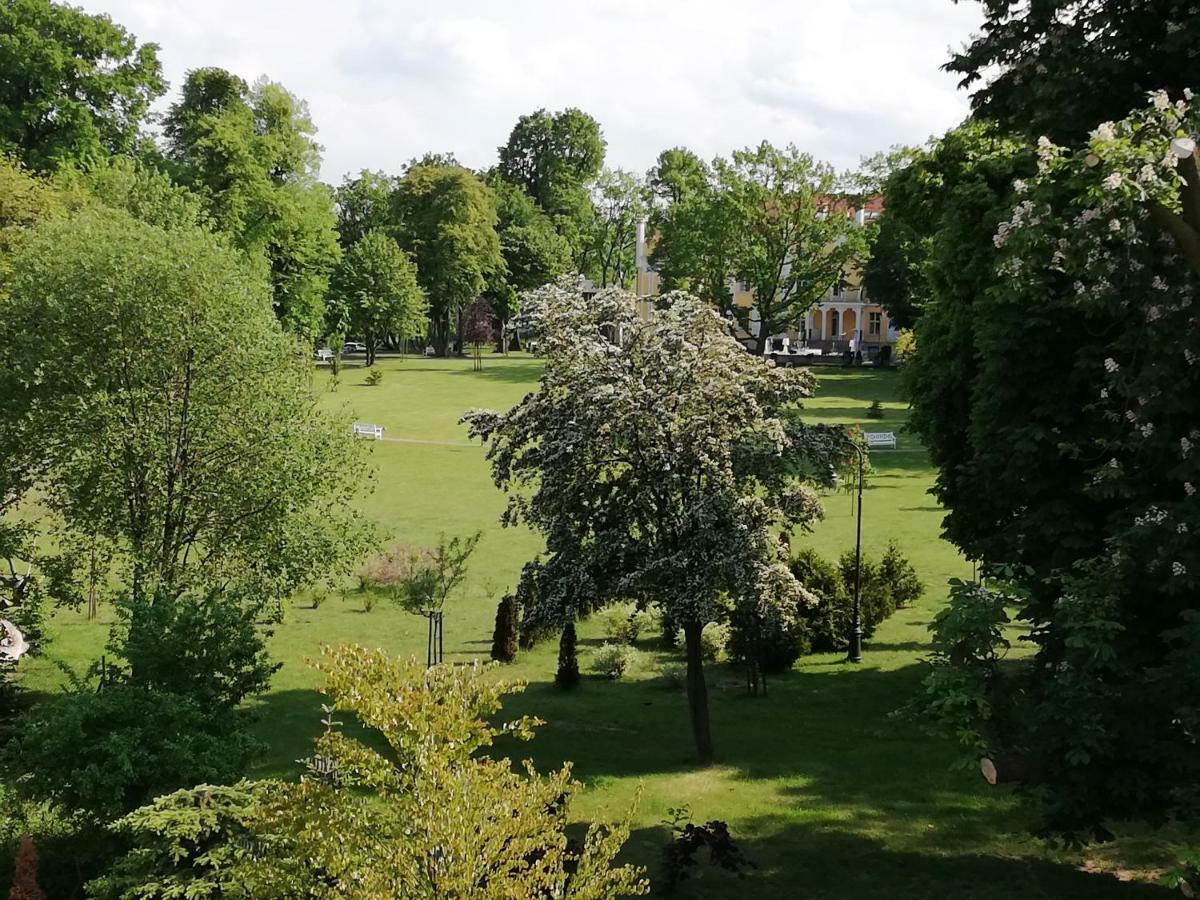 Gdynia Orlowo Honey Apartment Экстерьер фото